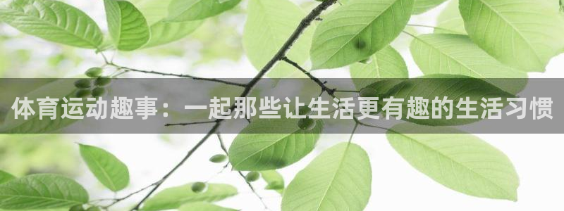 杏耀体育平台开号链接