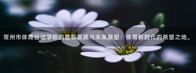 杏耀网