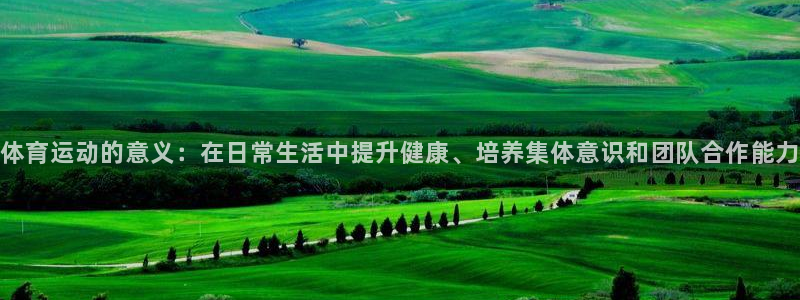 杏耀体育平台开号链接