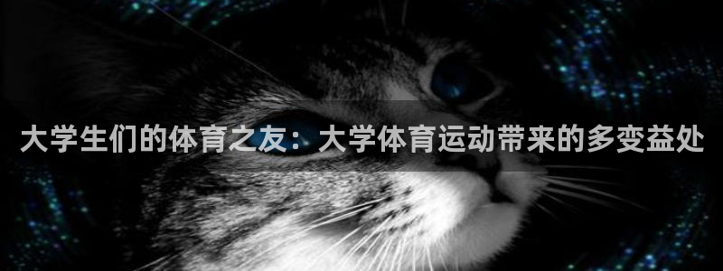 杏耀体育凯捷平台主管