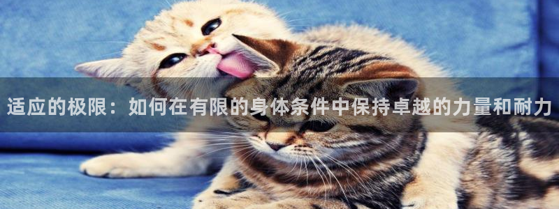 杏耀kgame