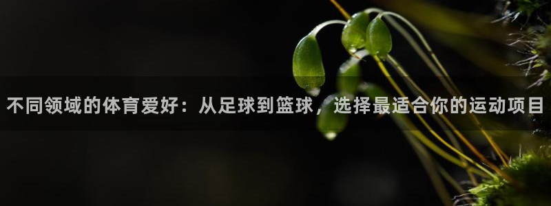 杏耀网络测速官网