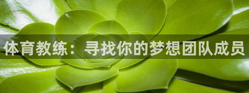 杏耀体育游戏