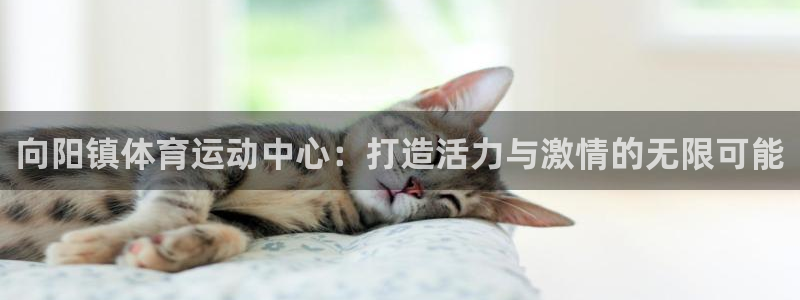 杏耀注册登陆