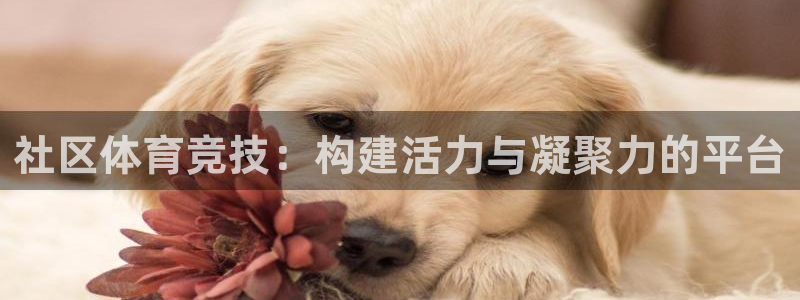 杏耀登录线路测速