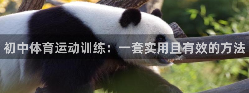 杏耀f凯捷平台在线注册