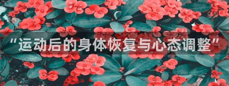 杏耀4注册