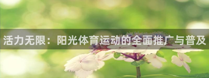 德国杏耀集团